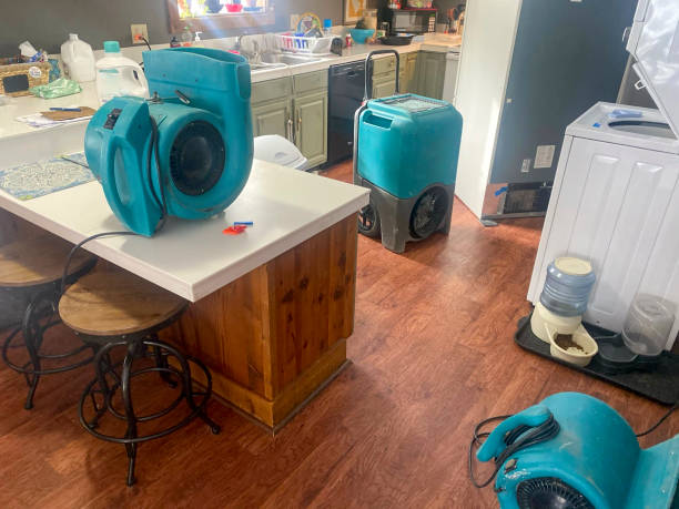 Best Water damage restoration cost  in Abilene, KS
