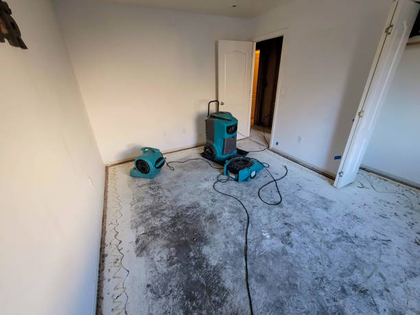 Best Water damage restoration specialists  in Abilene, KS