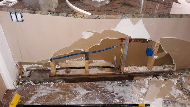 Best Flood damage cleanup  in Abilene, KS