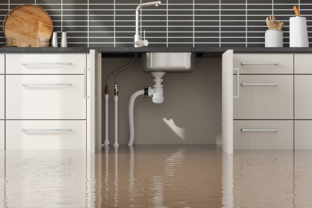 Best Water damage contractors near me  in Abilene, KS